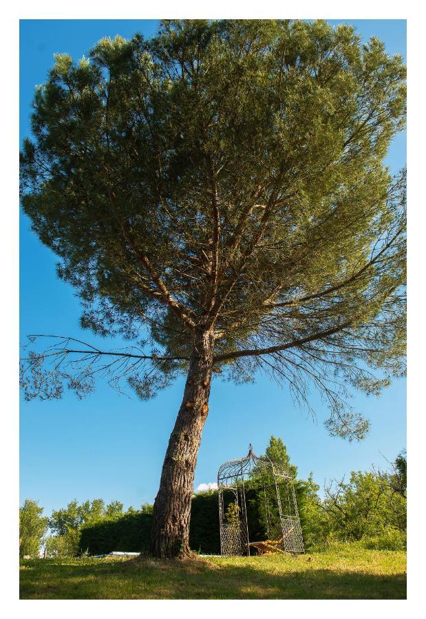 Chambre Soignee Et Accueillante A La Campagne - Ch Bleue L'Honor-de-Cos Bagian luar foto